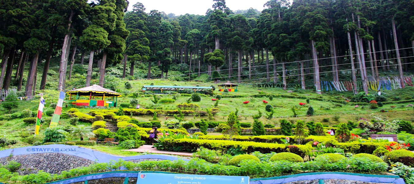 Lamahatta homestay | Lamahatta eco park | Stayfar