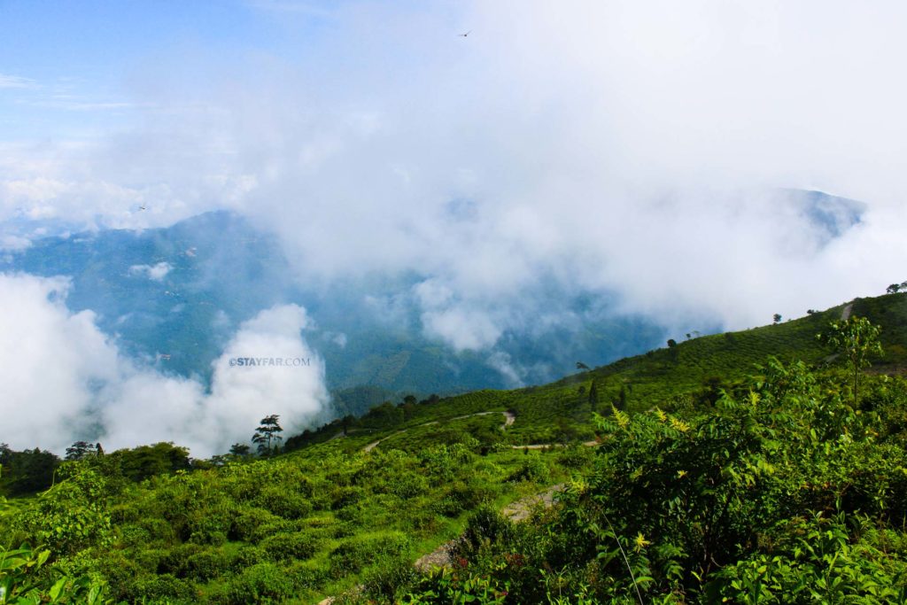 gumbadara viewpoint