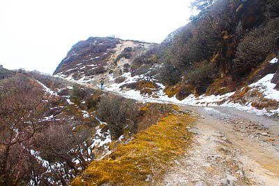 way to sandakphu